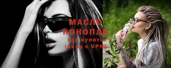 твердый Новозыбков