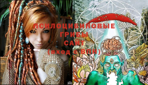 твердый Нея