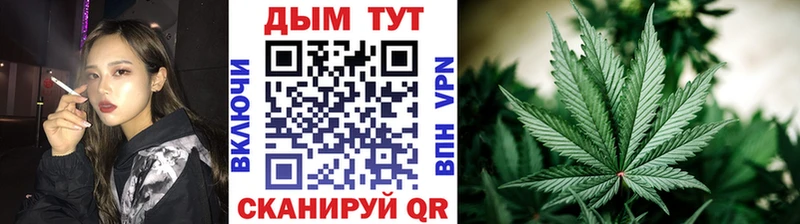 Купить где  Нахабино  МАРИХУАНА семена 